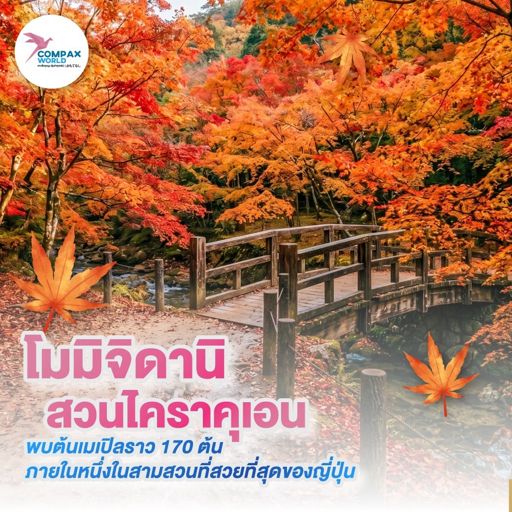 เที่ยวญี่ปุ่น ทัวร์ญี่ปุ่น ทัวร์ญี่ปุ่นพรีเมี่ยม โปรแกรมทัวร์ญี่ปุ่น